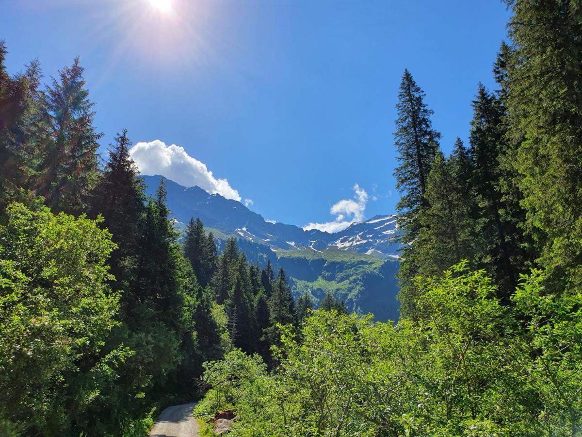 Apartmán Haus Wohleb Fulpmes Exteriér fotografie